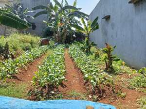 DIJUAL LAHAN KAWASAN BOGOR TENGAH LOKASI STRATEGIS COCOK UNTUK KOSAN lokasi di Bogor Kota, tersedia melalui melalui situs Olx