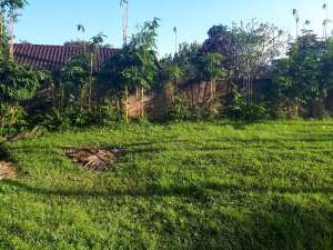 DIJUAL LAHAN KAWASAN UBUD GIANYAR BALI LOKASI MENARIK lokasi di Gianyar Kab., tersedia melalui melalui situs Olx