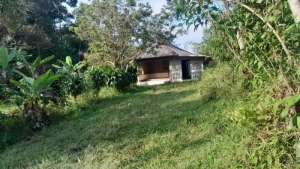 dijual lahan kebun 1600 meter lokasi di Purwakarta Kab., tersedia melalui melalui situs Olx