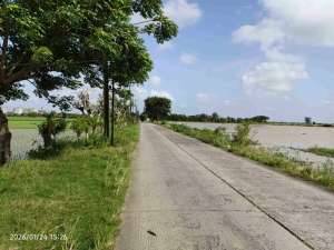 Dijual Lahan Sawah di Cabangbungin Bekasi lokasi di Bekasi Kab., tersedia melalui melalui situs Olx