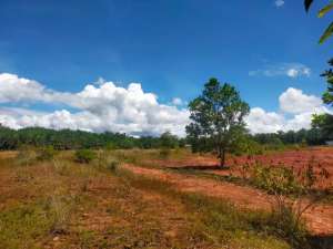 Dijual Lahan Siang Bangun Luas 150 m2 dekat Pasar Pedati, Bengkulu lokasi di Bengkulu Tengah Kab., tersedia melalui melalui situs Olx