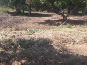 DIJUAL Lahan Tanah Dekat Taman Buah Mekarsari Bekasi Timur lokasi di Bekasi Kab., tersedia melalui melalui situs Olx