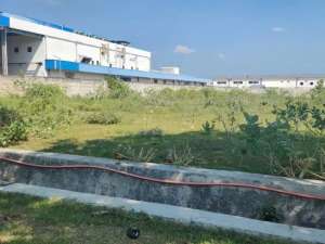 Dijual Lelang Tanah Kawasan Industri Tuban Socorejo Dekat Pantai lokasi di Tuban Kab., tersedia melalui melalui situs Olx