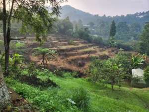 DIJUAL LOKASI ADA ALIRAN SUNGAIPEGUNUNGAN DI MEGAMENDUNG PUNCAK BOGOR lokasi di Bogor Kab., tersedia melalui melalui situs Olx