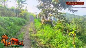 Dijual Murah 5 Are Kawasan Bedugul Tabanan lokasi di Tabanan Kab., tersedia melalui melalui situs Olx