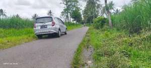 Dijual Murah Lahan Strategis Bululawang dekat Pabrik Gula Krebet lokasi di Malang Kab., tersedia melalui melalui situs Olx