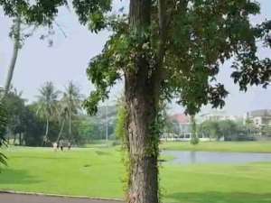 Dijual Murah Lvling Grand Golf 1 Modernland lokasi di Tangerang Kota, tersedia melalui melalui situs Olx