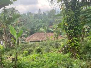 Dijual Murah Tanah 1000 m2 Akses Mobil di Bojong Purwakarta lokasi di Purwakarta Kab., tersedia melalui melalui situs Olx