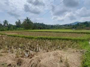Dijual Murah Tanah 3220 m2 di Tanjungkerta SumedanG lokasi di Sumedang Kab., tersedia melalui melalui situs Olx