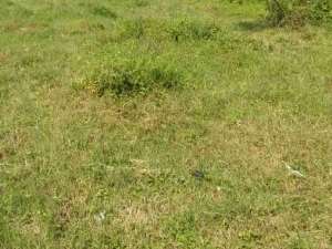 Dijual Murah Tanah Cocok Untuk Gudang Dan Industri Lokasi Sayap TKI Samping Exit Tol Margaasih Bandung lokasi di Bandung Kab., tersedia melalui melalui situs Olx