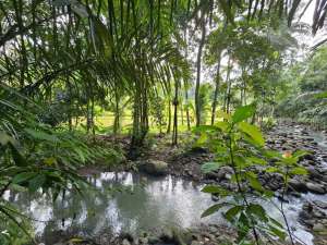 Dijual murah tanah datar dengan sungai dan view sawah di tabanan bali lokasi di Tabanan Kab., tersedia melalui melalui situs Olx