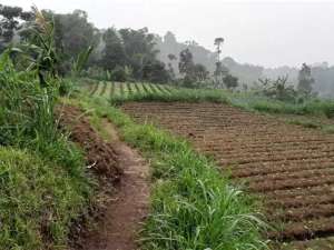 Dijual Murah Tanah Dekat Kantor Bupati KBB lokasi di Bandung Barat Kab., tersedia melalui melalui situs Olx