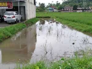 Dijual Murah Tanah di desa bumi wangi kec.ciparay lokasi di Bandung Kab., tersedia melalui melalui situs Olx