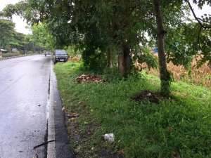 Dijual MURAH Tanah di Jalan ByPass BIL dekat Bundaran Gerung lokasi di Lombok Barat Kab., tersedia melalui melalui situs Olx