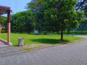 Dijual Murah Tanah kavling Hook di albera BSD City lokasi di Jakarta Selatan, tersedia melalui melalui situs Olx