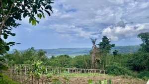 Dijual Murah Tanah Kebun 2183 m2 SHM di Bojong Purwakarta lokasi di Purwakarta Kab., tersedia melalui melalui situs Olx