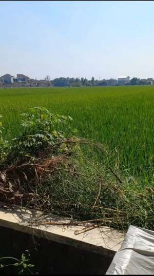 DIJUAL MURAH TANAH PEKARANGAN LOKASI BLULUKAN COLOMADU lokasi di Surakarta Kota, tersedia melalui melalui situs Olx