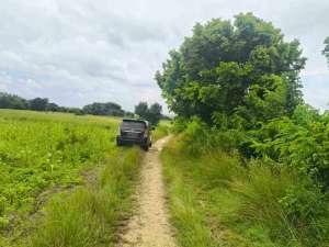 Dijual murah tanah pertanian area Sumba Barat daya Nusa tenggara Timur lokasi di Sumba Timur Kab., tersedia melalui melalui situs Olx