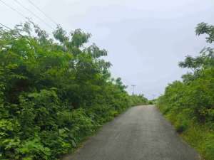 Dijual murah tanah pertanian area Sumba Barat Daya Nusa tenggara Timur lokasi di Sumba Barat Daya Kab., tersedia melalui melalui situs Olx