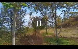 Dijual perkebunan durian musangking Wonosalam, Jombang lokasi di Jombang  Kab., tersedia melalui melalui situs Olx