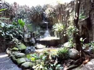 dijual rumah asri di bintaro jaya sektor 2 lokasi di Tangerang Selatan Kota, tersedia melalui melalui situs Olx