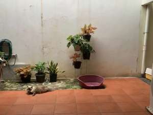 Dijual Rumah Bagus Lokasi Nyaman di Green Ara Residence, Bekasi lokasi di Bekasi Kota, tersedia melalui melalui situs Olx