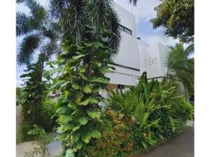 Dijual Rumah Cluster 2.5 Lantai Di Serpong Park Dekat Pintu Toll Jelupang Serpong Utara lokasi di Tangerang Selatan Kota, tersedia melalui melalui situs Olx