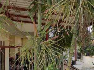 Dijual Rumah Murah Hitung Tanah di Margahayu Permai Bandung lokasi di Bandung Kota, tersedia melalui melalui situs Olx