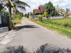 DIJUAL SAWAH BAGUS MURAH TEPI JALAN ASPAL DEKAT JALAN RAYA GODEAN lokasi di Sleman Kab., tersedia melalui melalui situs Olx