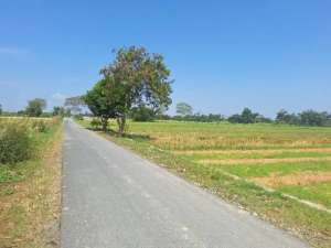 Dijual sawah luas 3,5 rante. Harga jual Rp.80 juta per rante lokasi di Deli Serdang Kab., tersedia melalui melalui situs Olx