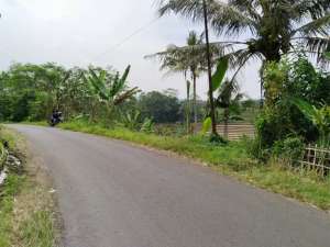 DIJUAL SAWAH - SAUNG VIVILAAN - ADA SUNGAI - AIR MELIMPAH lokasi di Subang Kab., tersedia melalui melalui situs Olx