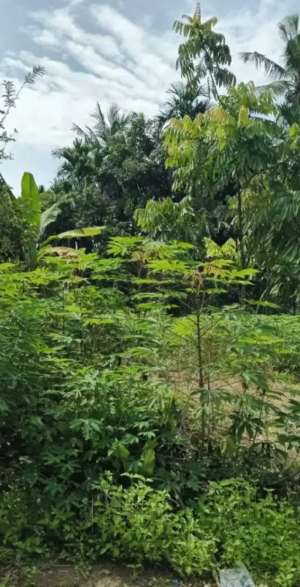 Dijual Sebidang Tanah lokasi di Deli Serdang Kab., tersedia melalui melalui situs Olx