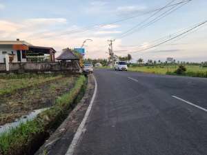 DIJUAL SEBIDANG TANAH BERKILAU SEPERTI BERLIAN lokasi di Tabanan Kab., tersedia melalui melalui situs Olx