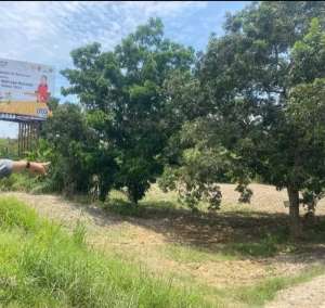 Dijual Sebidang tanah dengan lokasi premium di Kota Medan lokasi di Medan Kota, tersedia melalui melalui situs Olx