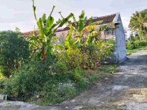 DIJUAL SEBIDANG TANAH PEKARANGAN KOSONG DI PERUMAHAN PEMDA SLEMAN lokasi di Sleman Kab., tersedia melalui melalui situs Olx