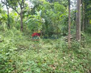 Dijual Sebidang Tanah Pertnian Kering Mojo Kab Kediri lokasi di Kediri  Kab., tersedia melalui melalui situs Olx