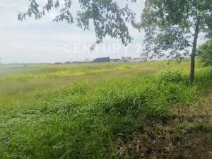 DijualSewa Kav Thamrin PIK 2 Strategis Dekat Pintu TolPik 2 lokasi di Tangerang Kab., tersedia melalui melalui situs Olx