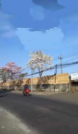 Dijual Tanah 0 Jln Raya Tanjungsari Surabaya Sangat cocok untuk Gudang lokasi di Surabaya Kota, tersedia melalui melalui situs Olx