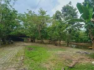 Dijual Tanah 1 Ha Sukarno Hatta lokasi di Palembang Kota, tersedia melalui melalui situs Olx