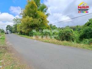 Dijual Tanah 1 Hektar tepi Jl. Pancoran, Rogojampi lokasi di Banyuwangi  Kab., tersedia melalui melalui situs Olx