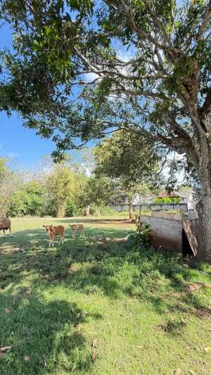 Dijual Tanah 100m2 Di Dekat Kampus Unud Jimbaran Free Biaya2 lokasi di Kab. Badung, tersedia melalui melalui situs Olx