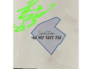 Dijual Tanah 14 Are View Sawah di Jl Beringin Padonan Badung Bali Freehold - LSKHE lokasi di Kab. Badung, tersedia melalui melalui situs Olx