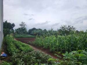 DIJUAL TANAH1492 M2 STRATEGIS DEKAT PERUMAHAN TAMAN NAROGONG lokasi di Bekasi Kota, tersedia melalui melalui situs Olx