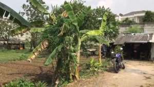 Dijual Tanah 1716m2 di Duri Kosambi, Jakarta By Rumah Chinida Dw lokasi di Jakarta Barat, tersedia melalui melalui situs Olx