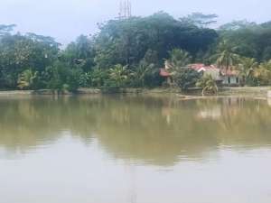 Dijual Tanah 2 Hektar Tepi Danau di Parung Panjang, Bogor harga 250 rbm lokasi di Bogor Kab., tersedia melalui melalui situs Olx
