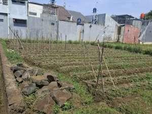 Dijual Tanah 2 Kavling Cisaranten Arcamanik Bandung lokasi di Bandung Kota, tersedia melalui melalui situs Olx