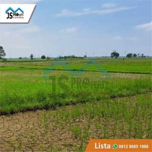 DIJUAL TANAH 4 H NEGO SAMPAI DEAL PERUNTUKAN INDUSTRI BABELAN BEKASI lokasi di Bekasi Kab., tersedia melalui melalui situs Olx