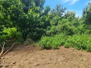 DIJUAL TANAH 50 ARE DI PECATU lokasi di Kab. Badung, tersedia melalui melalui situs Olx