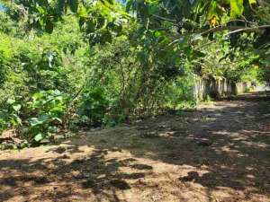 dijual tanah 50 are IDR 550 juta per are dekat Savaya pecatu badung bali lokasi di Kab. Badung, tersedia melalui melalui situs Olx