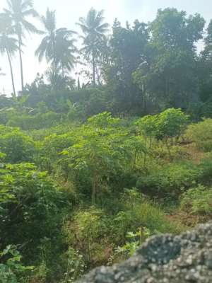 Dijual Tanah 581m2 SHM lokasi di Bandar Lampung Kota, tersedia melalui melalui situs Olx